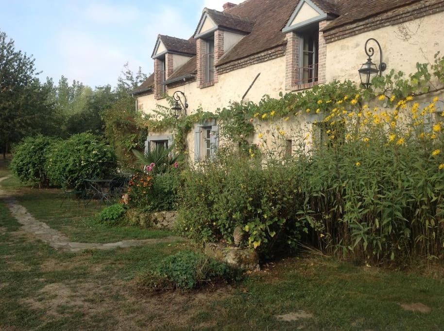 Villa Le Foulon - Moulin De Charme - 1 Heure 30 De Paris Saint-Hilaire-les-Andresis Exterior foto